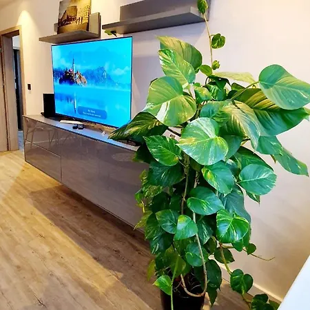 Appartamento Galaxy Słupsk