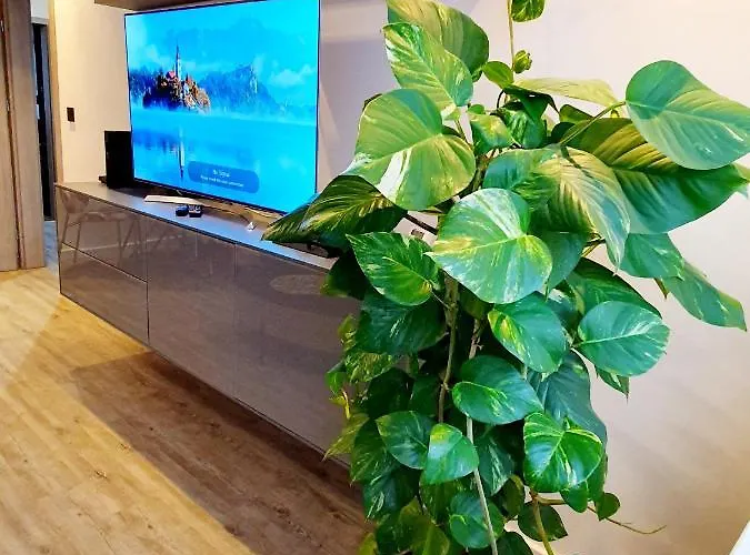 Apartament Galaxy Słupsk